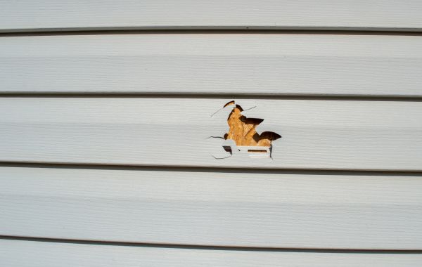 Cost of Siding Hole Patching in Norristown