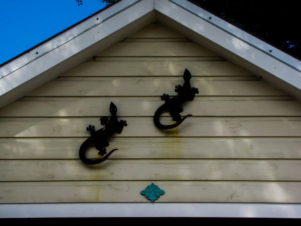 Cost of Shiplap Siding Installation in Norristown